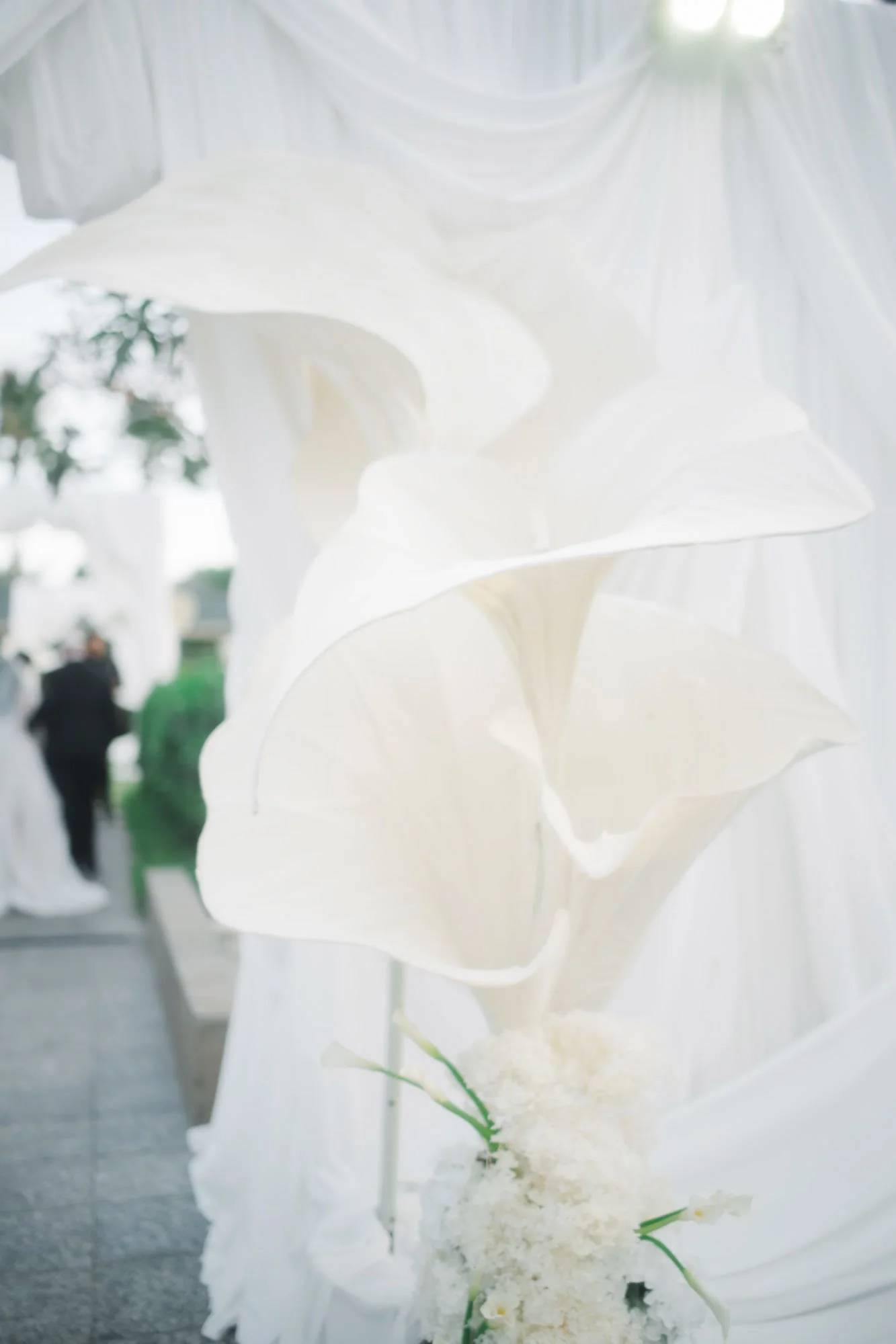 Classic White floral close-up