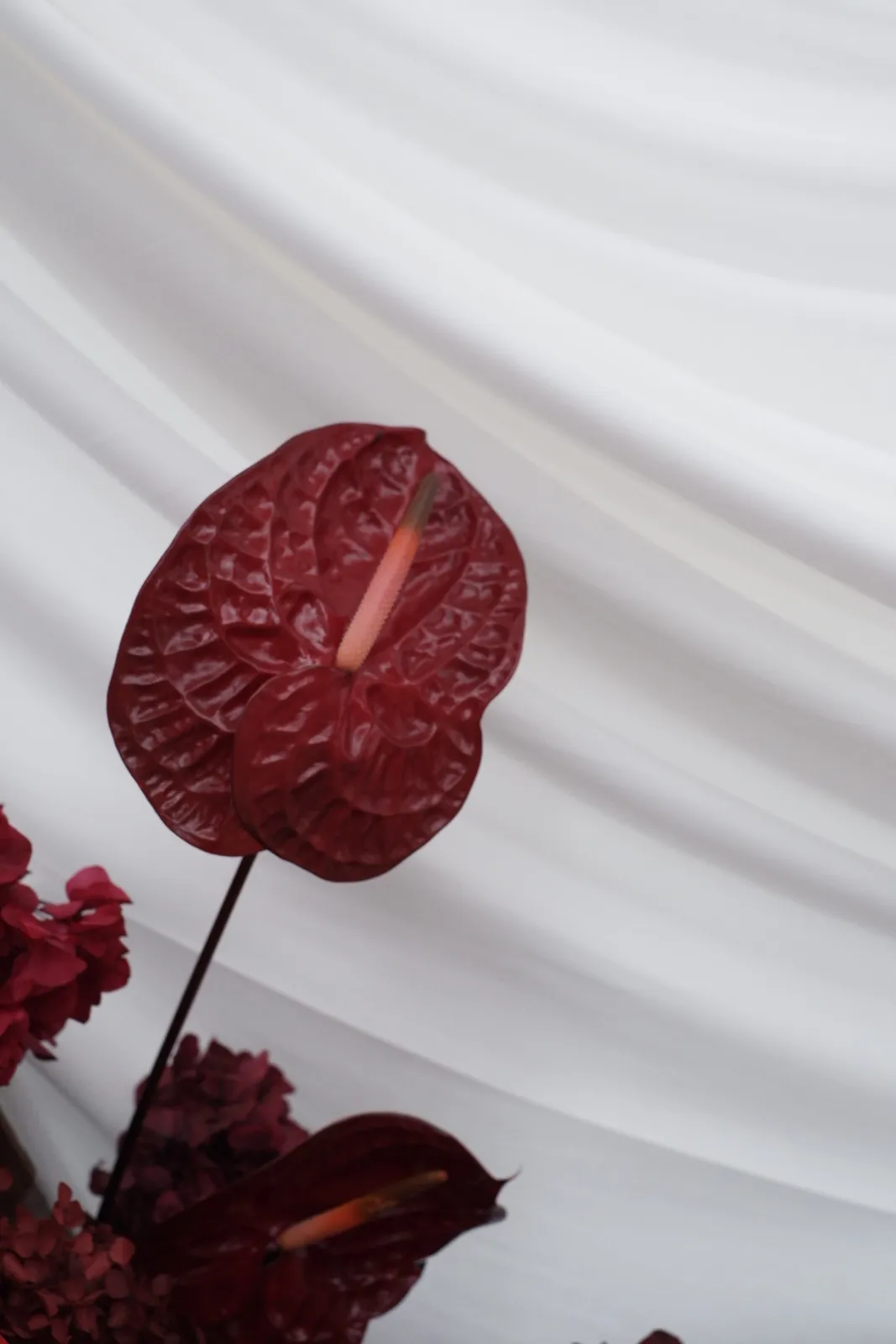 Boldy Moody decoration 7